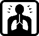 Lungs