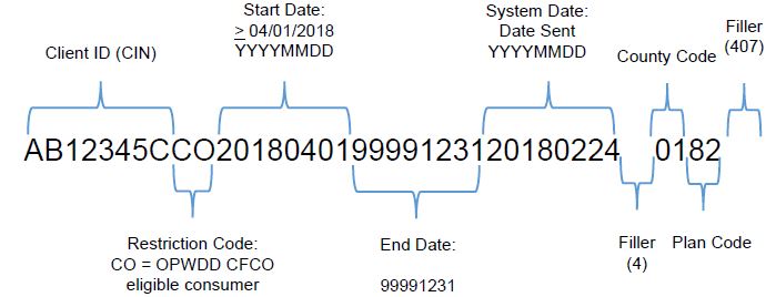 File Layout Example: OPWDD